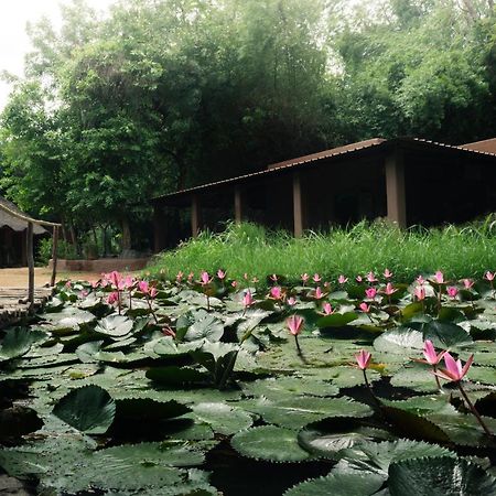 Hampi'S Whiskers Resort Exterior photo